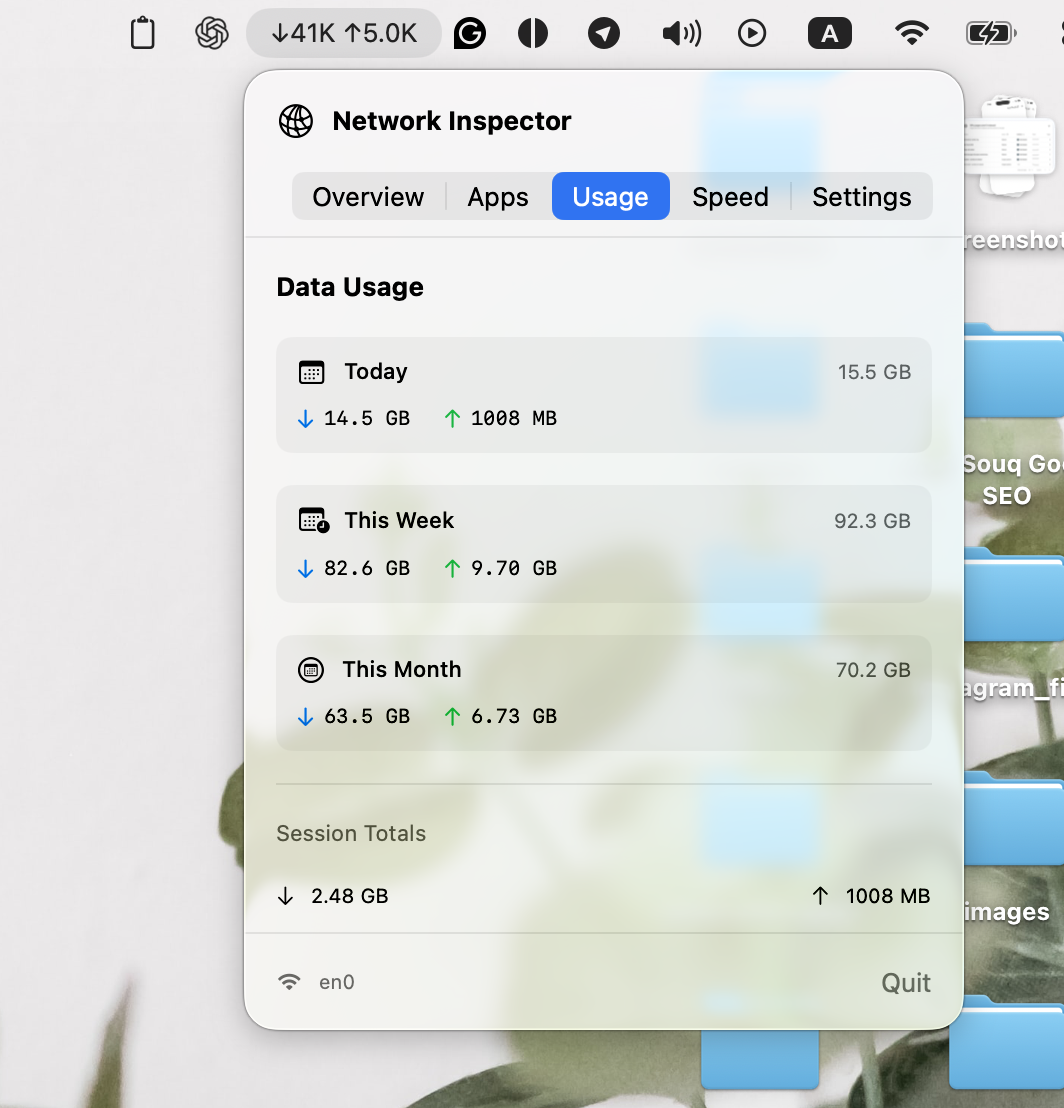 Network Inspector usage view showing daily, weekly, monthly, and current-session transfer totals